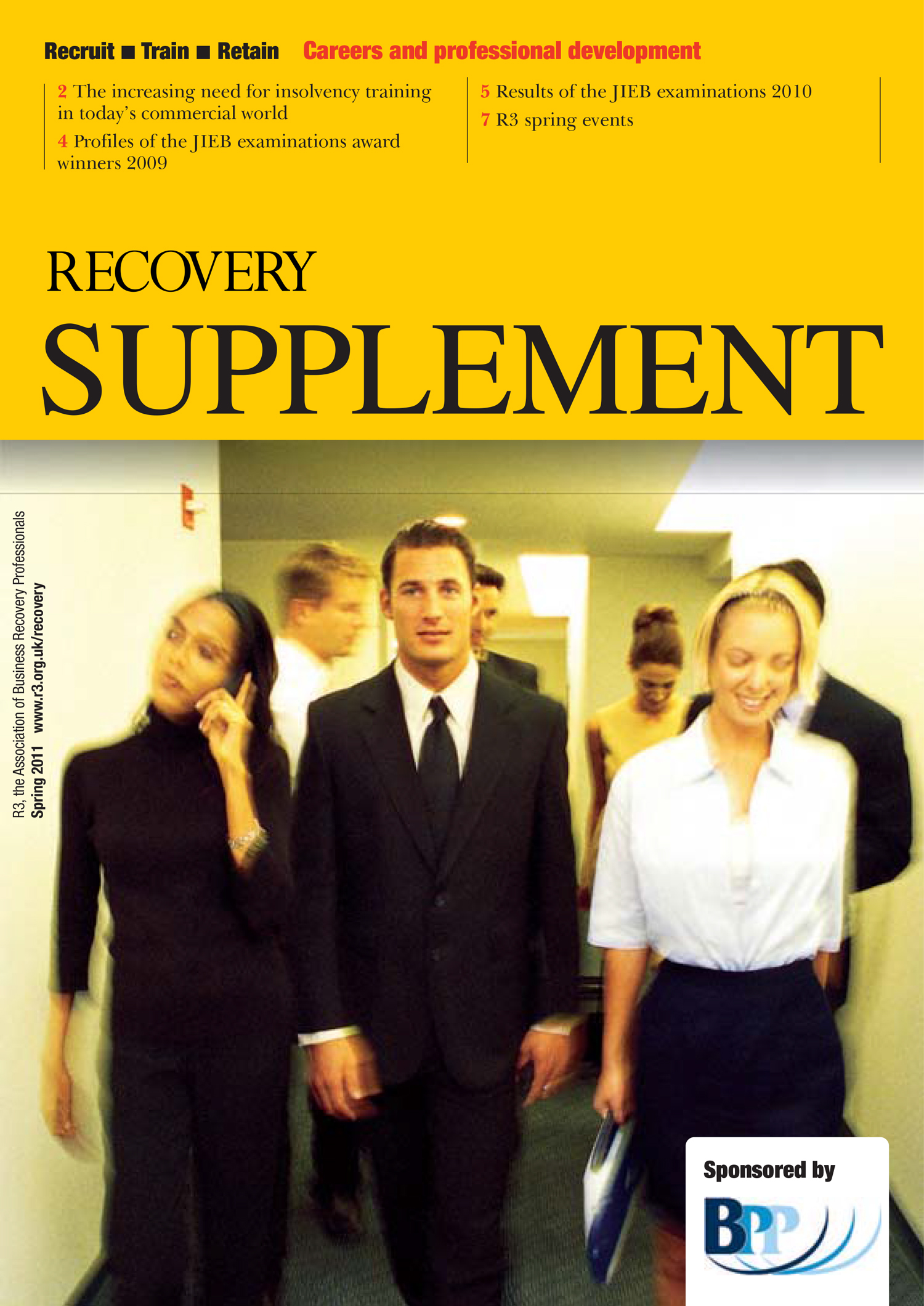 Recovery Supplement 2011