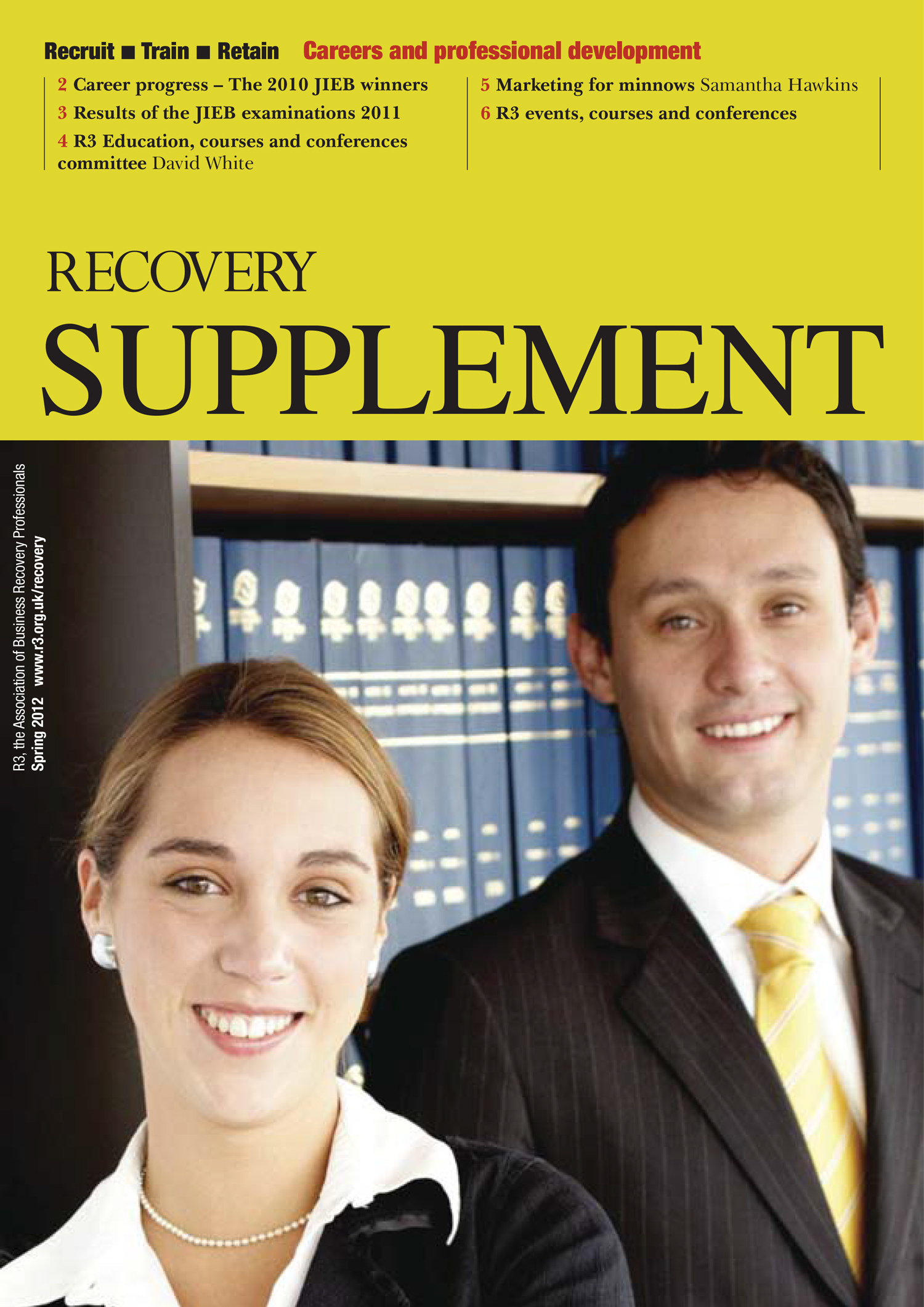 Recovery Supplement 2012