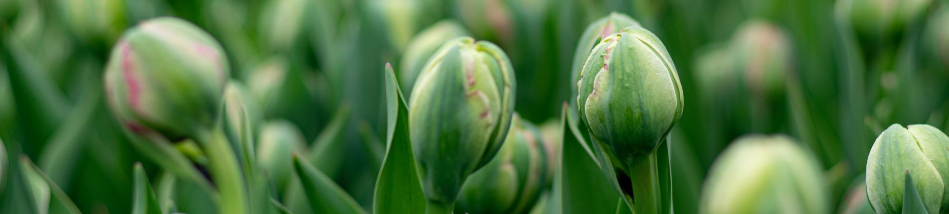 External Affairs update: Spring 2023