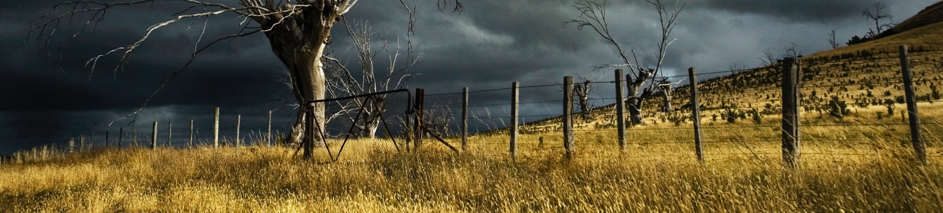 R3’s member survey on personal insolvency and COVID-19: Storm on the horizon