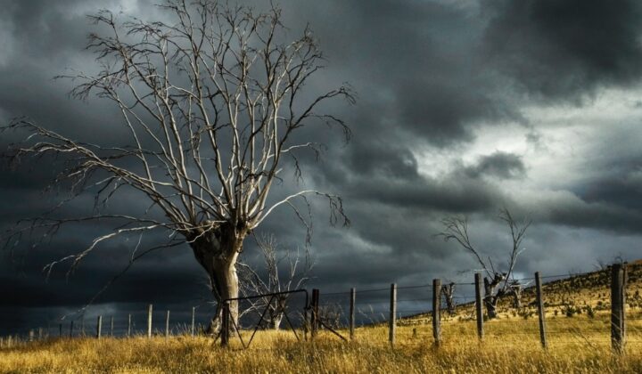 R3’s member survey on personal insolvency and COVID-19: Storm on the horizon