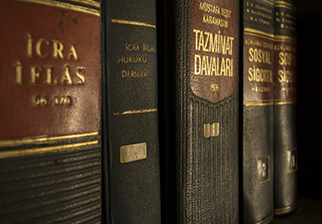 The Future of Insolvency Regulation: Views from the Scotland Community