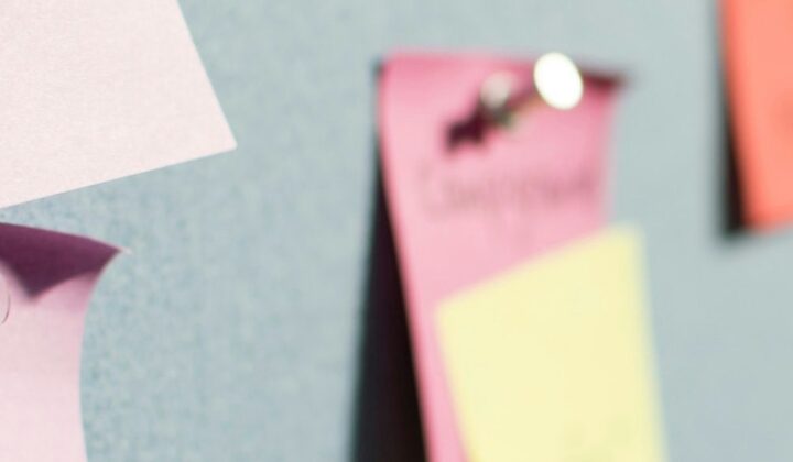 Insolvency Diversity and Inclusion Steering Group launches 2024 Action Plan
