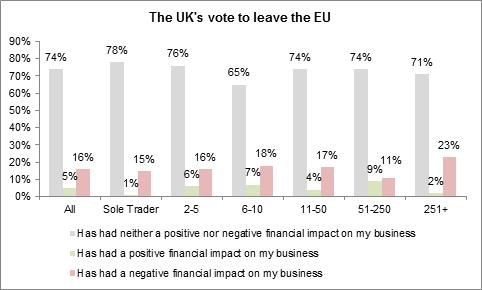 Business Views On Brexit 2016